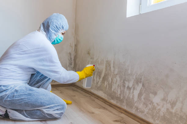 Hvac And Air Duct Mold Remediation inspection of HVAC system in Kenmore