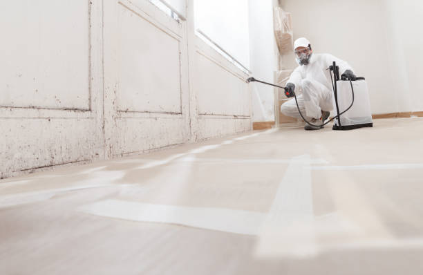 Post-remediation clearance in Kenmore